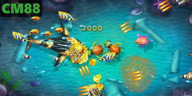 Bí kíp săn cá biển lớn, rinh thưởng cực khủng